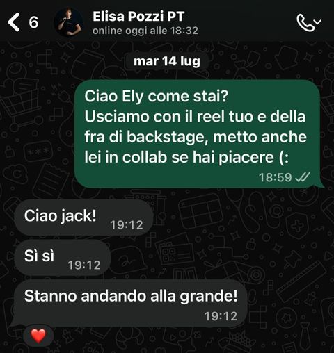 Chat del 14 luglio: Elisa scrive che i reel stanno andando alla grande